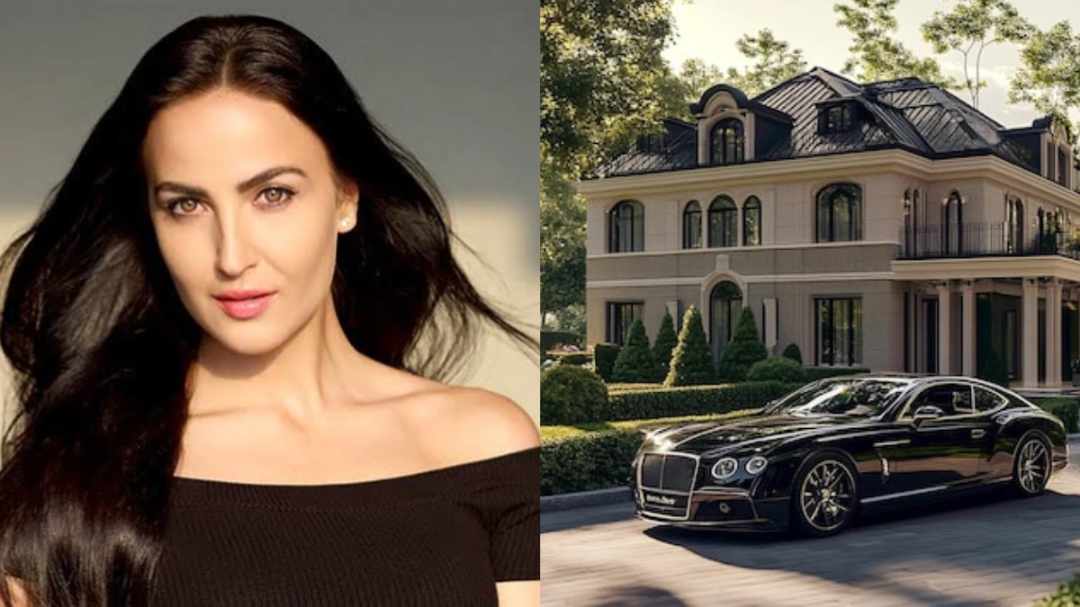 Allie Avram Net Worth 2025